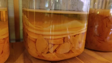 Fermented tea. Kombucha with scoby in a glass jar. Stock Footage 306760222