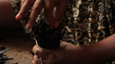 Fermented vanilla pods sorted 4K Handheld camera Stock Footage 221441796