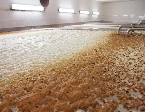 Fermenting of a beer 库存照片
