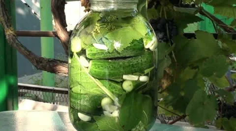 Fermenting cucumbers zoom out Stock Footage 17723665