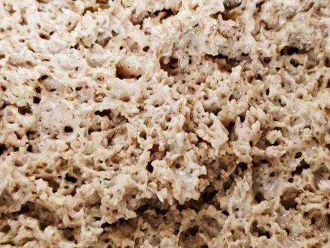 Fermenting sourdough starter background. Stock Photos