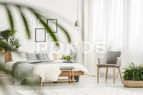 Fern and chair in bedroom Stock Photos
