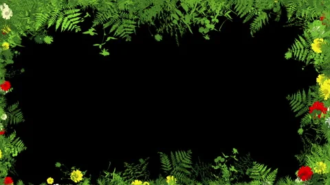 Fern and Flower Frame Border with Luma Matte Transition Stock Footage 347825359