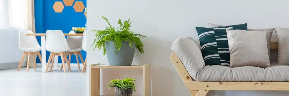 Fern in beige flat interior Stock Photos