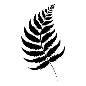 Fern black vector icon on white background Stock Illustration