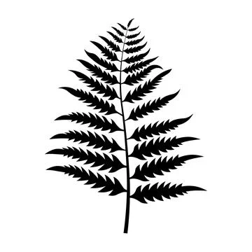 Fern black vector icon on white background Stock Illustration