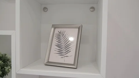 Fern branch picture Stock-Footage 129136579