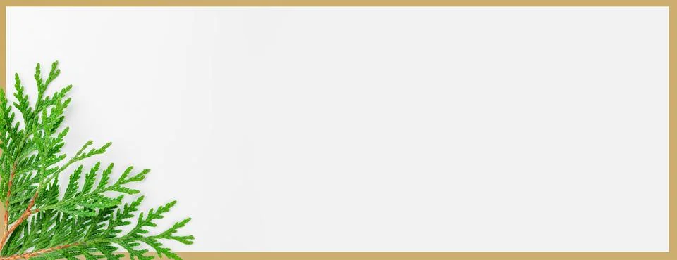 Fern branches pattern. flat lay, top view 스톡 사진