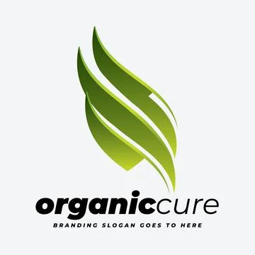 Fern Decoration Leaf Logo Stock Illustration