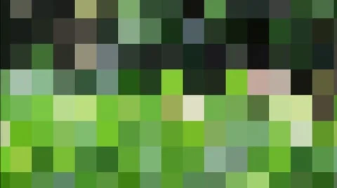 Fern, forest, trees, leaves animation Stock Footage 42690553