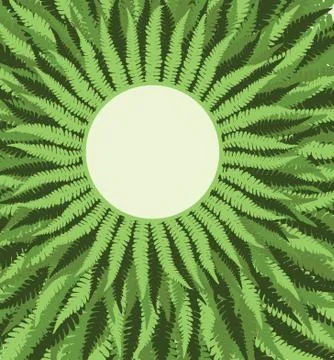 Fern frame background Stock Illustration
