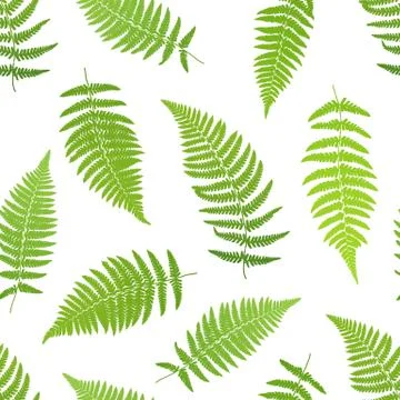 Fern frond silhouettes seamless pattern. Vector illustration Stock Illustration