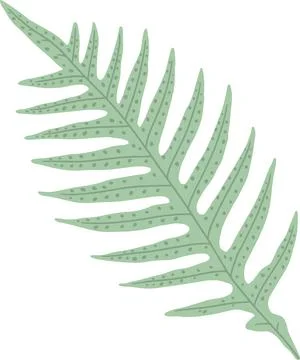 Fern frond. Tropical leaf. Vector forest concept Stock Illustration