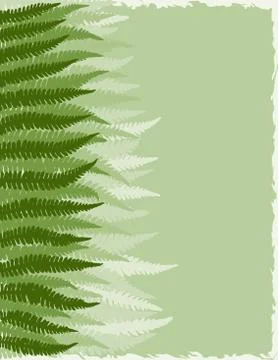Fern fronds background 库存插图