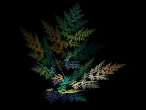 Fern Stock Illustration