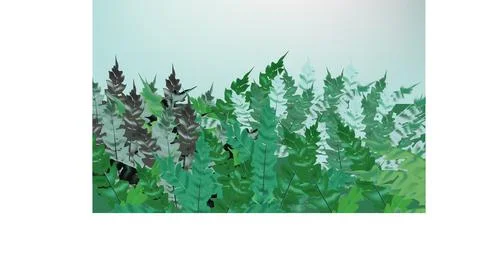 Fern Stock Illustration