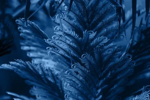Fern leaf in a classically blue color. Stock Photos