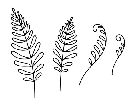 Fern leaf doodle drawing set Stock Illustration