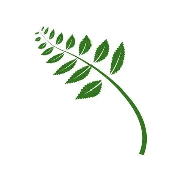 Fern leaf icon Stock Illustration