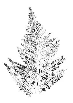 Fern leaf. Ink stamp isolated on white background. Stock Illustration