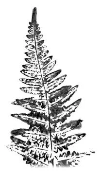 Fern leaf. Ink stamp isolated on white background. Stock Illustration
