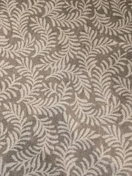 Fern Leaf Pattern Lights Shot Onto a Carpet Stock Photos