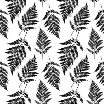 Fern leaf seamless pattern background. Vector Illustration イラスト素材