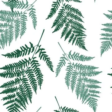 Fern leaf seamless pattern on background. Illustration Stock Illustration