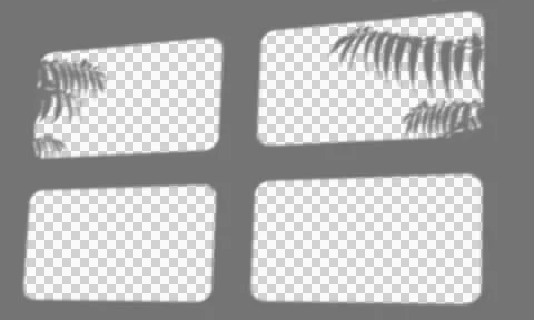 Fern leaf shadow overlay, natural plant shadow effect on transparent backgrou Illustrazione stock