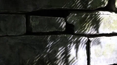 Fern leaf shadows moving across natural stone garden wall Stock Footage 337392733