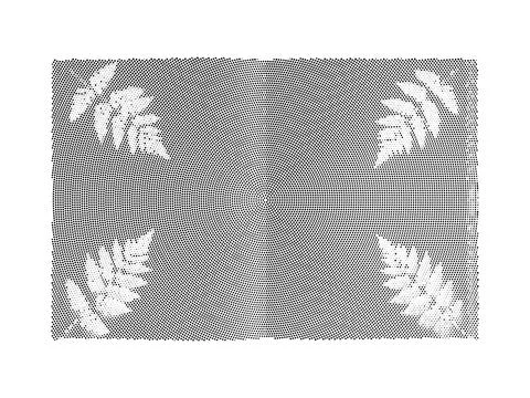 Fern leaf silhouettes on radial halftone dot background for nature themed g.. Stock Illustration