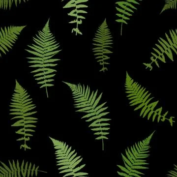 Fern Leaf Vector Background Illustration Illustrazione stock