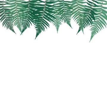 Fern Leaf Vector Background Illustration Stock Illustration