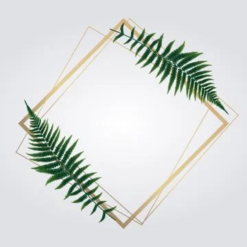 Fern Leaf Vector Background Illustration EPS10 Stock Illustration
