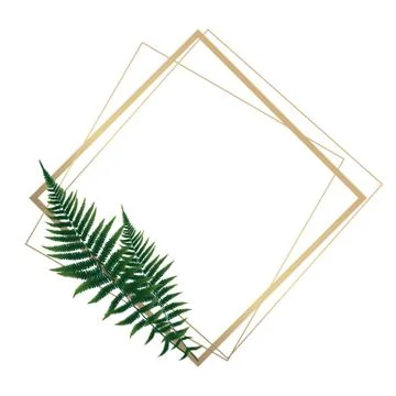 Fern Leaf Vector Background Illustration EPS10 Illustrazione stock