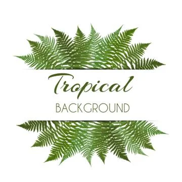 Fern Leaf Vector Background  with White Frame Illustration 스톡 일러스트