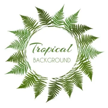 Fern Leaf Vector Background  with White Frame Illustration Stock Illustration