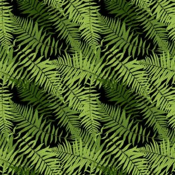 Fern Leaf Vector Fern Leaf Vector Seamless Pattern Background Il イラスト素材