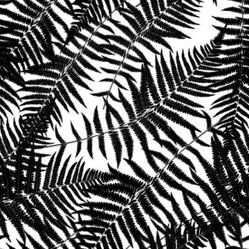 Fern Leaf Vector Fern Leaf Vector Seamless Pattern Background Il Stock Illustration