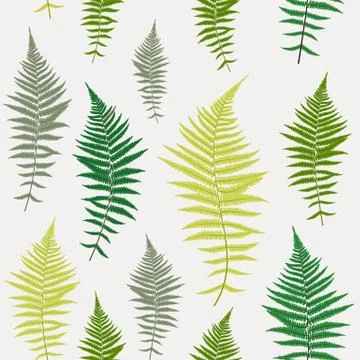 Fern Leaf Vector Fern Leaf Vector Seamless Pattern Background Il Stock Illustration