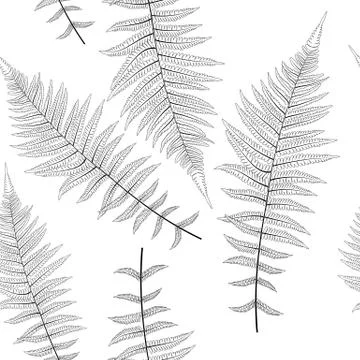 Fern Leaf Vector Fern Leaf Vector Seamless Pattern Background Illustration 스톡 일러스트