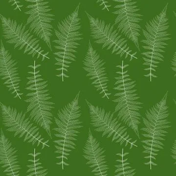 Fern Leaf Vector Fern Leaf Vector Seamless Pattern Background Illustration Stock Illustration