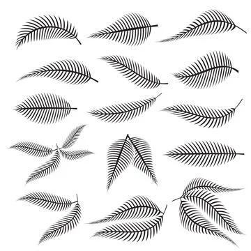The fern leaf vector image for spa or herb decor concept Stock Illustration