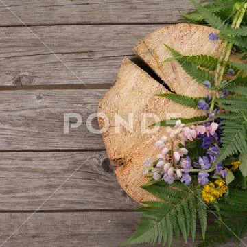 Fern leaves and wild flowers on an old wooden background. Copy space. View fr Stock Photos