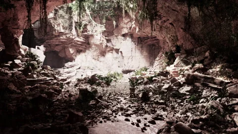 Fern leaves hang vertically down over the entrance to an ancient stone cave Video stock 234182366