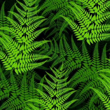 Fern pattern  background 스톡 일러스트