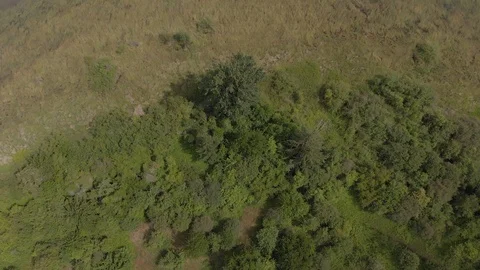 Fern Ridge Lake Stock Footage 91756290