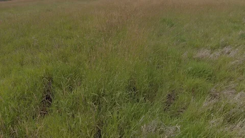 Fern Ridge Lake Stock Footage 91756962
