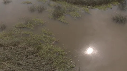 Fern Ridge Lake Stock Footage 91757090