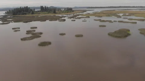 Fern Ridge Lake Stock Footage 91757191